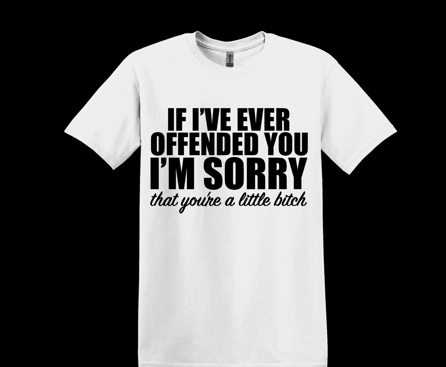 I'm Sorry You're a Little B****