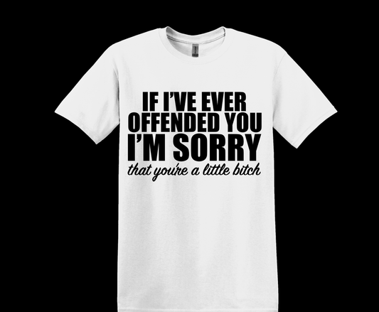 I'm Sorry You're a Little B****